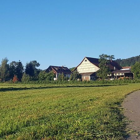 Ferienhof Hanssler Daire Wilhelmsdorf  Dış mekan fotoğraf