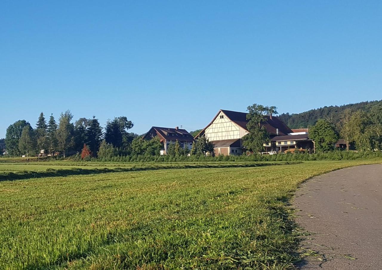 Ferienhof Hanssler Daire Wilhelmsdorf  Dış mekan fotoğraf