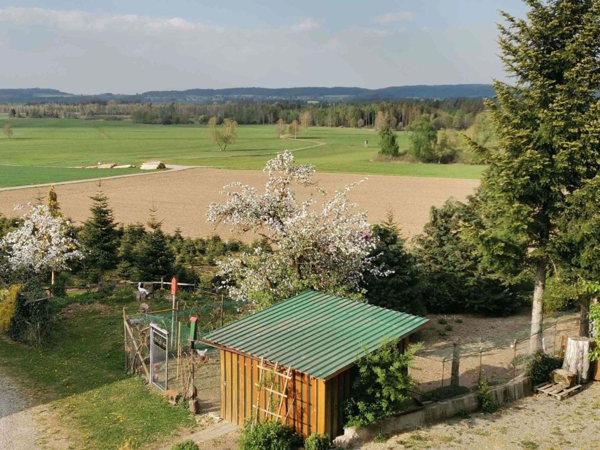 Ferienhof Hanssler Daire Wilhelmsdorf  Dış mekan fotoğraf